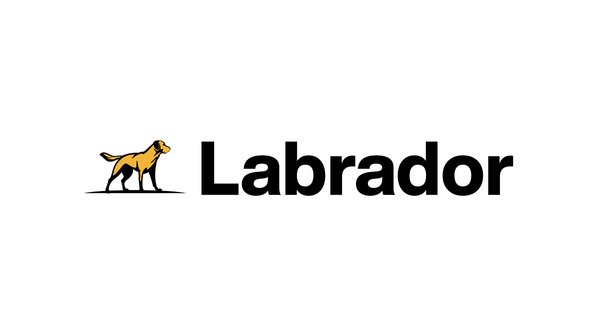 Labrador: A Smarter, More Accessible WCAG Audit Tool